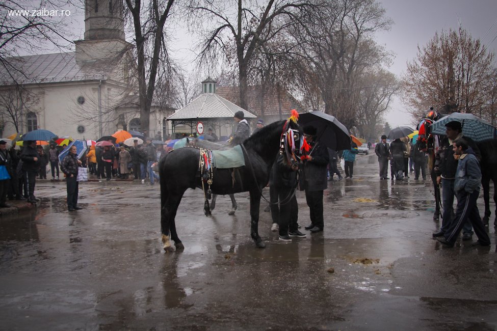 botezul-cailor-bailesti-2012-03