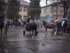 botezul-cailor-bailesti-2012-18