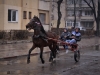 botezul-cailor-bailesti-2012-58