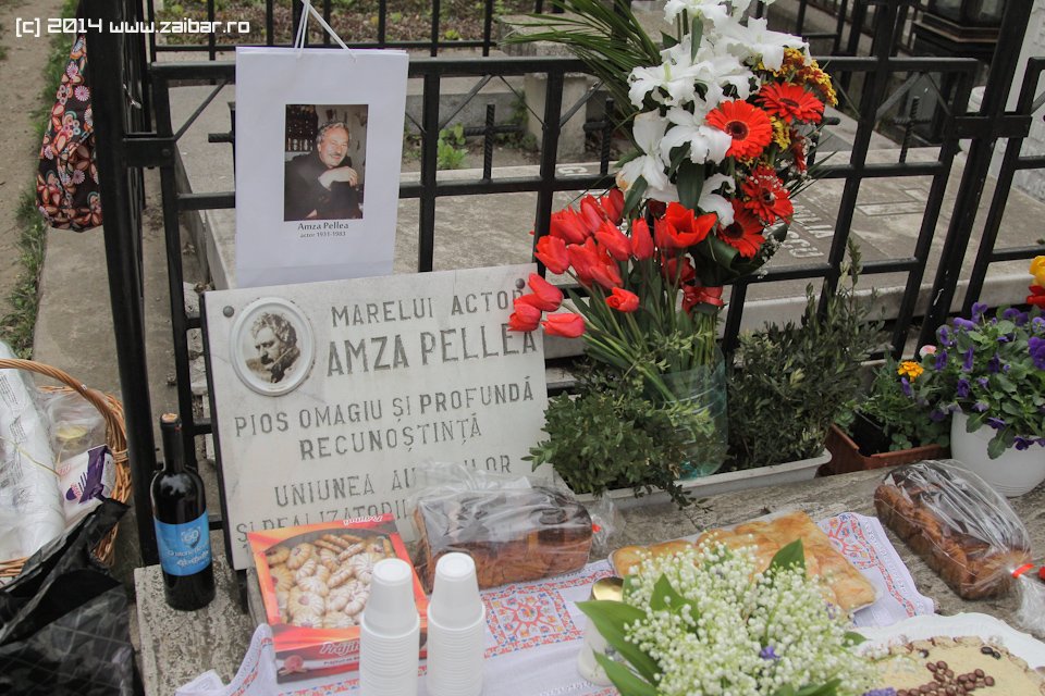 comemorare-amza-bucuresti-2014-043