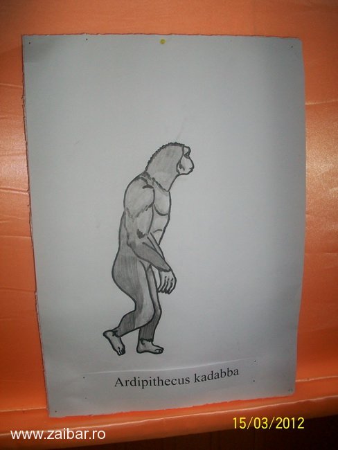 expozite-evolutionism-bailesti-2012-07