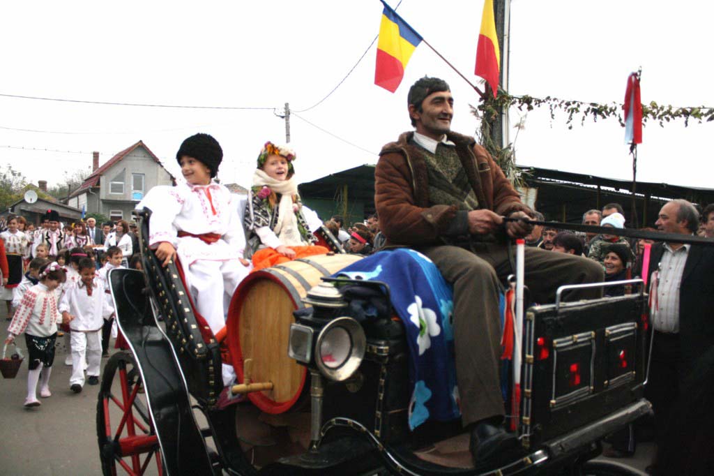 Festivalul Zaibarului 2008