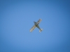 miting-aviatic-bailesti-2012-006