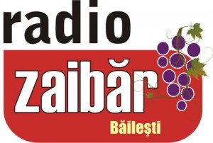 Radio Zaibar Bailesti